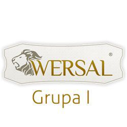Wersal_GrupaII[1].jpg